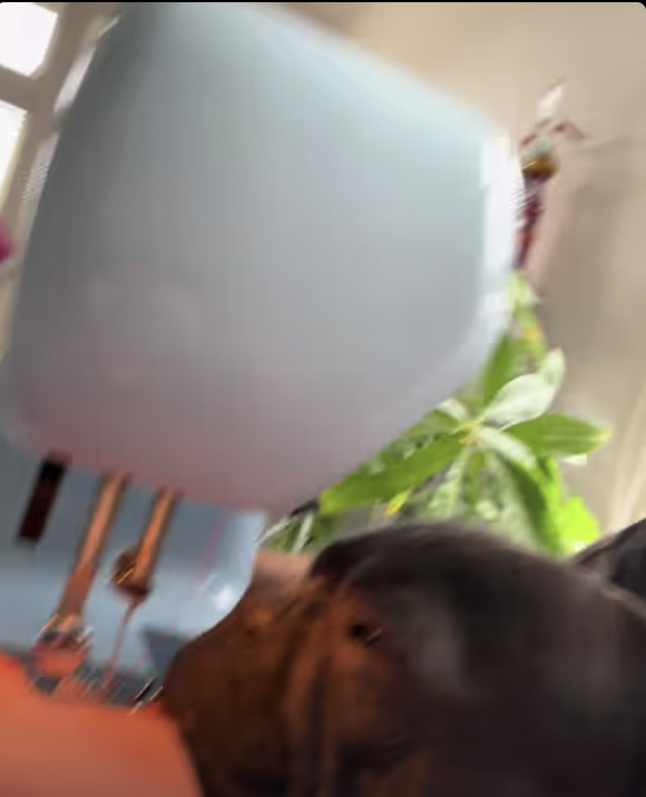 Frenchie Seamstress transforms rompers into beautiful dress !!!